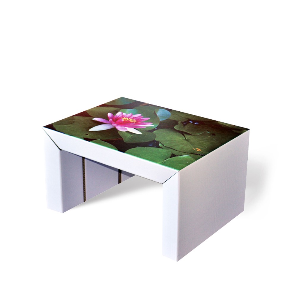 Table basse cozus